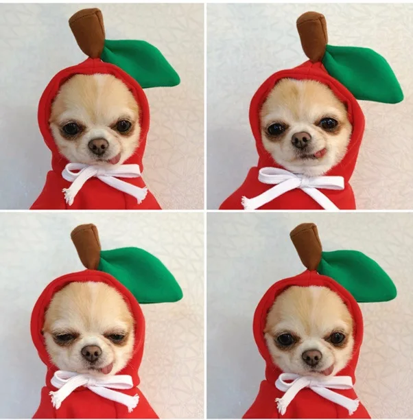 Déguisement Wapiti, Grenouille ou Carotte : Sweat à Capuche Amusant pour Petit Chien - 2025 - Vêtement et accessoires pour chiens - Doglovedesign