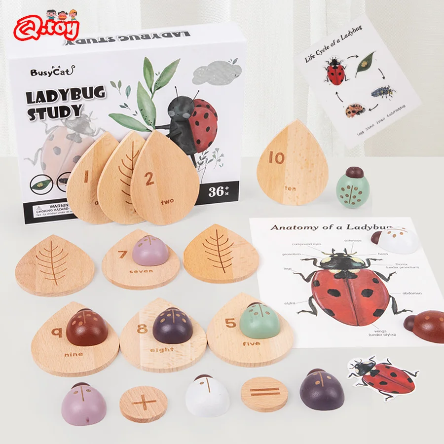 

Montessori Counting Toys Early Educational Ladybug Digital Math Learning Children Enlightenment Insect Decoration Game for Kid