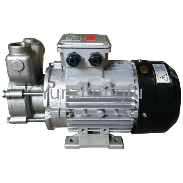 

Pump Customizable Casting Micro Welding Machine Pump
