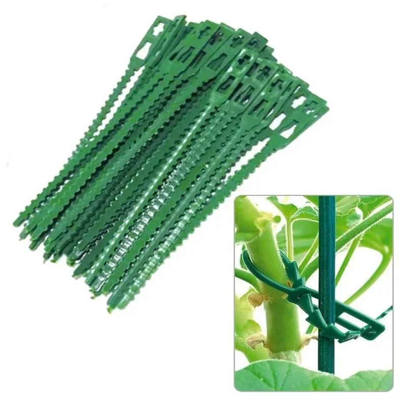

20 - 50 - 100 Pieces Adjustable Plant Ties Flexible Garden Plant Ties, Green Multi-Function Sturdy(13 cm / 5.1", 0.9 cm / 0.35")