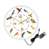 Birds Breeds Collection Modern Wall Clock Non Ticking Wall Watch Parrot Bird Pet Species Exotic Wall Art Bird Lovers Home Decor 3