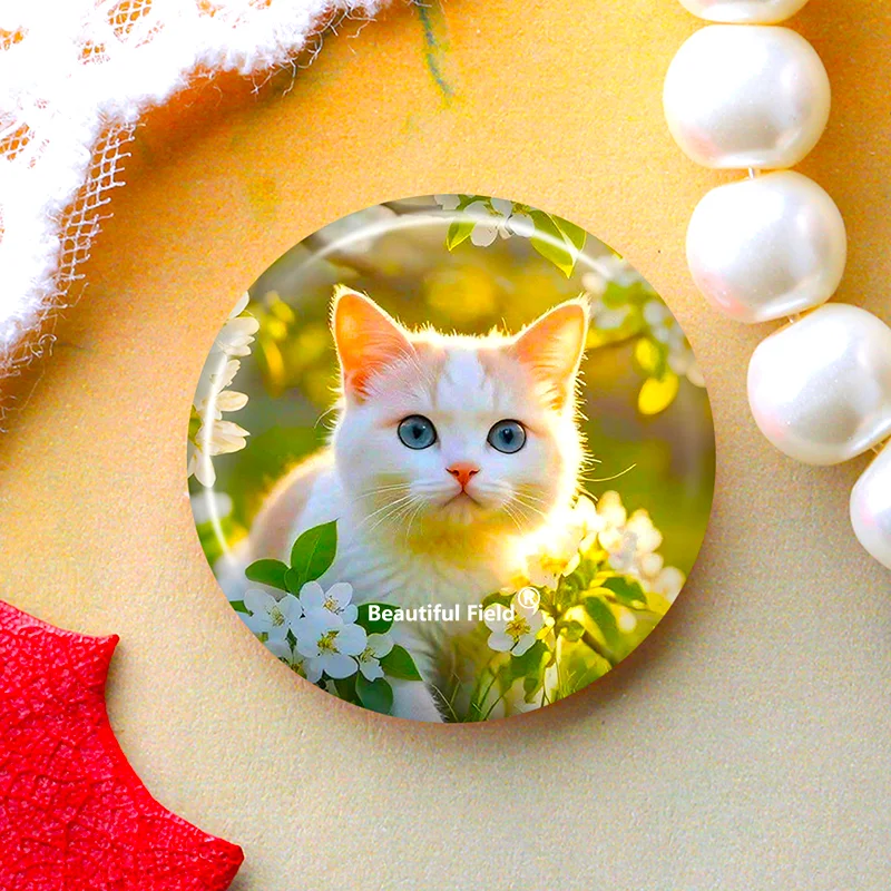 Handmade 8-50mm Glass Cabochon Set for DIY Jewelry and Pendent Crafting