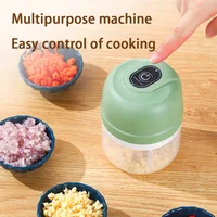 Electric Garlic Purer 100/250ML Mini Electric Garlic Chopper USB Charging Ginger Vegetable Cutter Food Chopper Kitchen Tools 2