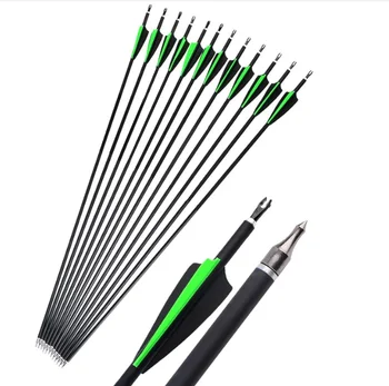 Replaceable Tip Carbon Arrows 1