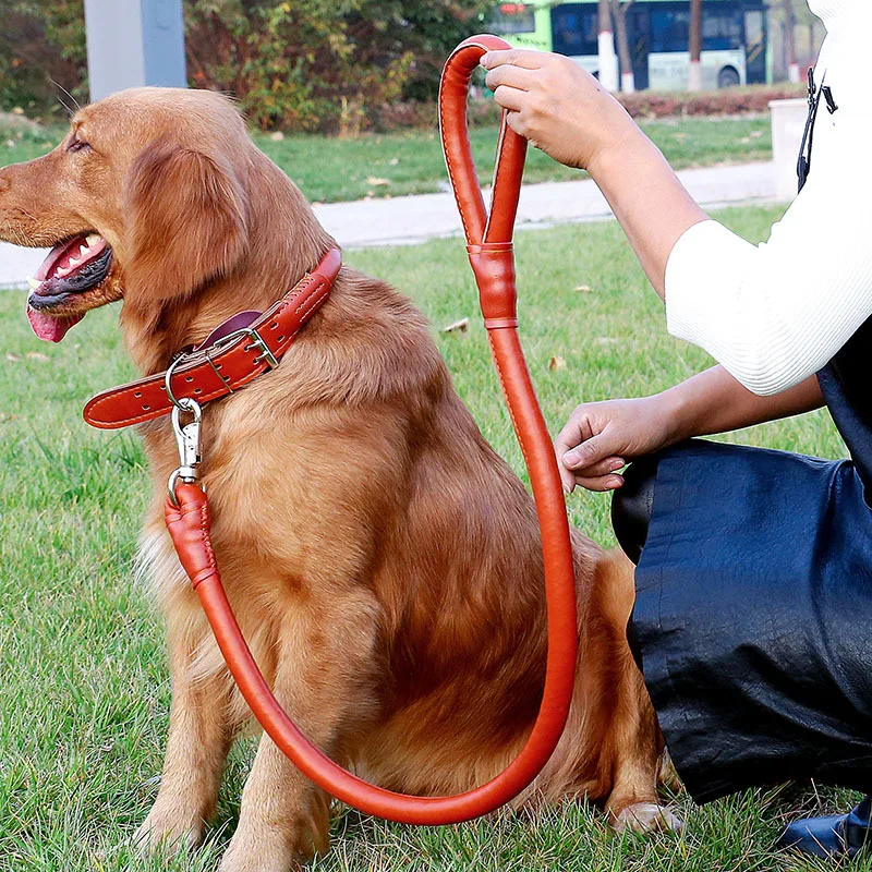 Reddy Correa De Cuerda Color Vino Con Detalles En Cuero Genuino Para Perro, 1.8 M | Mexico