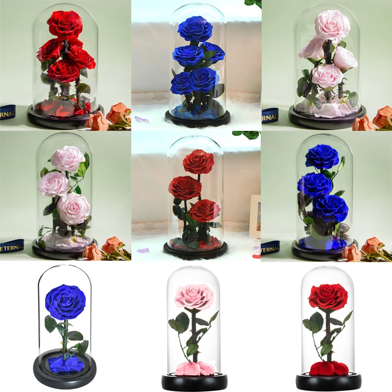 Eternal Preserved Roses In Glass Dome 5 Flower Heads Rose Forever Love  Wedding Favor Mothers Day Gifts for Women Girlfriends