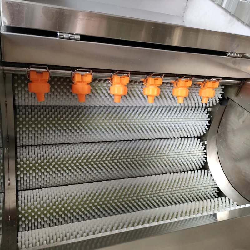 2025New Commercial Vegetable Fruit Washing Peeling with Brusher Cleaning Potato Machine Stainless Steel 304 6