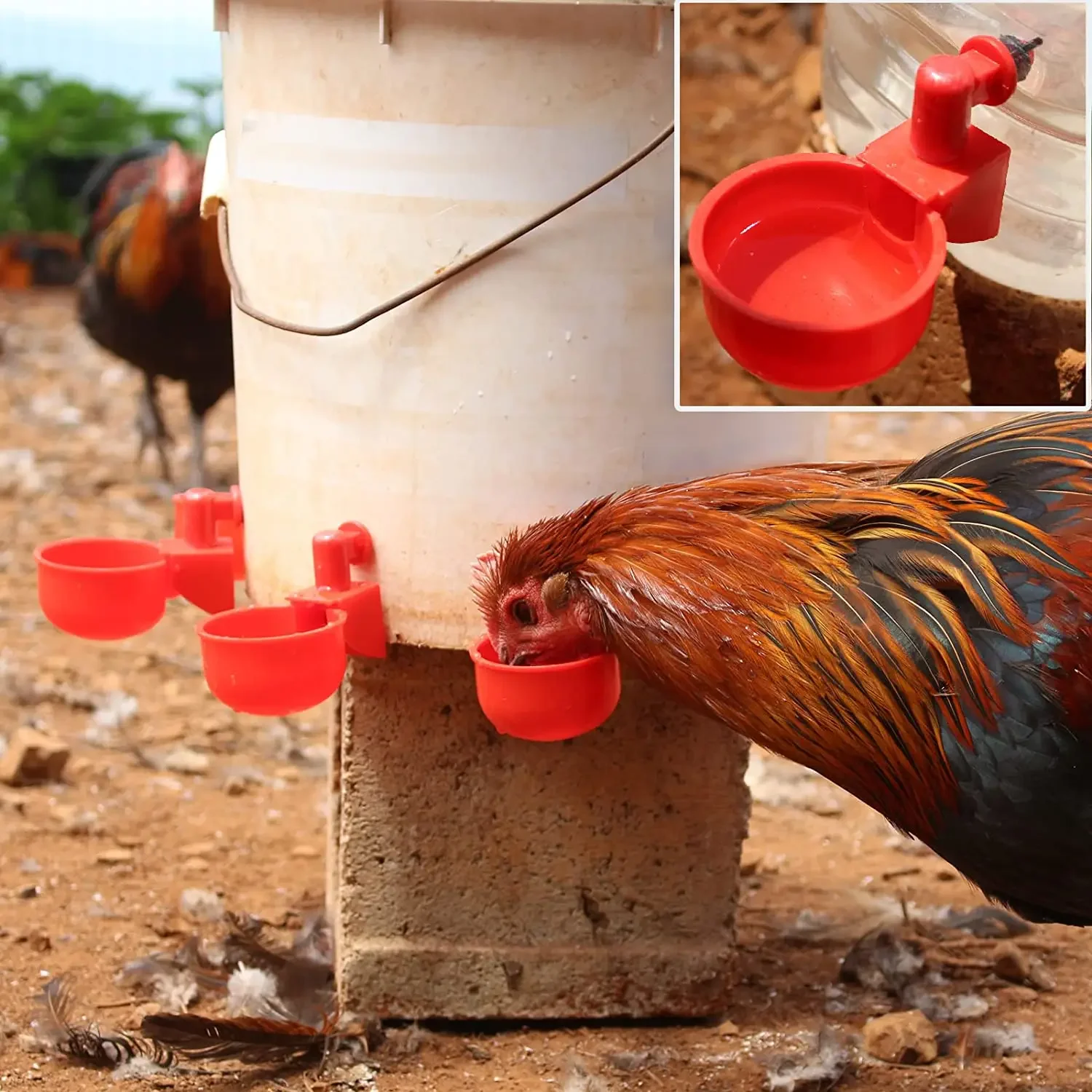 Automatic Poultry Water Cups 3
