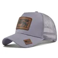 Light Gray