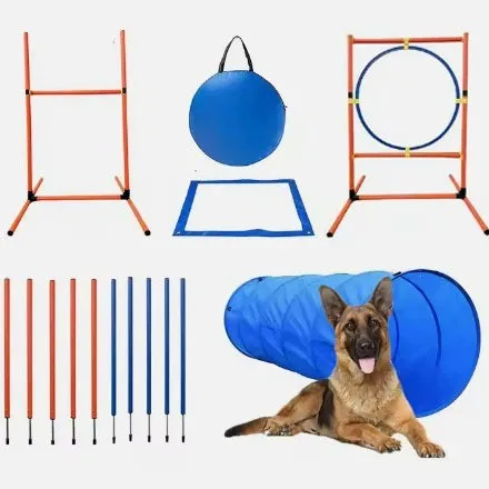 Dog obstacle training prop visual 9