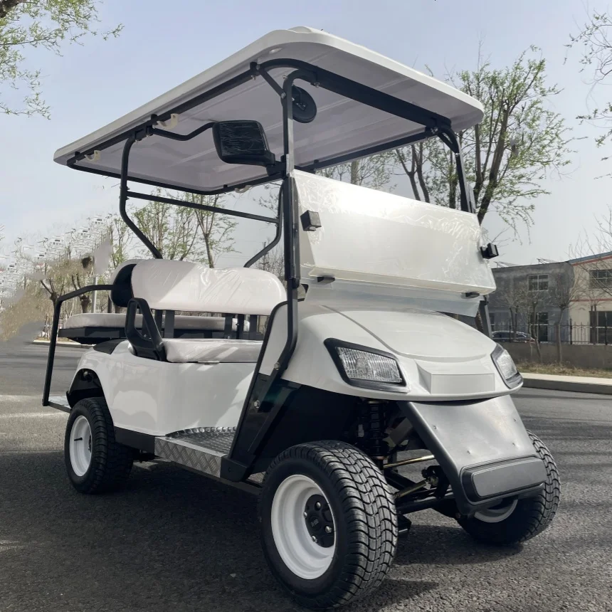 Electric Golf Cart Hot Sale 2 Seat Club VIP Modern Fashion Adult Electric Car Free Color Golf Scooter