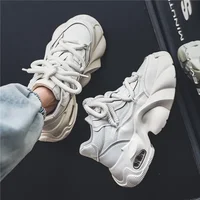 Chaopai Men's Shoes 2024 Spring and Autumn Season New Versatile Casual Thick Sole Korean Fashion Dad Shoes 2