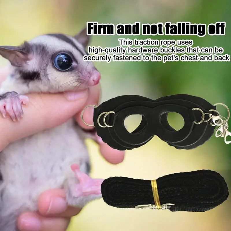 Sugar Gliders Vest and Leash 2