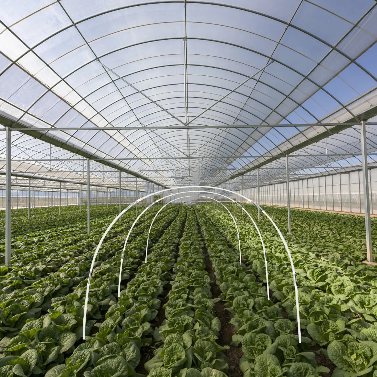 1Set Plant Support Stands Heavy Duty Garden Hoops for Greenhouse Tunnel Frost Protection Cover Row Grow Frame Rapid Germination