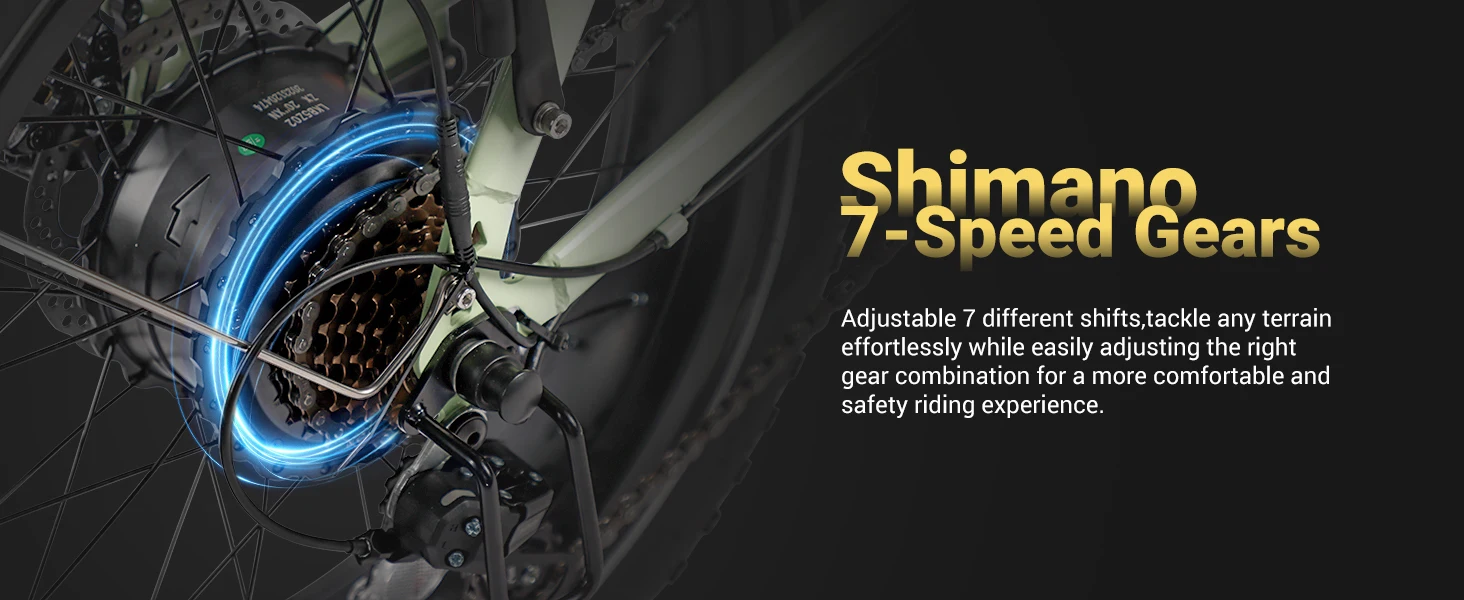 Electric Bike for Adults
