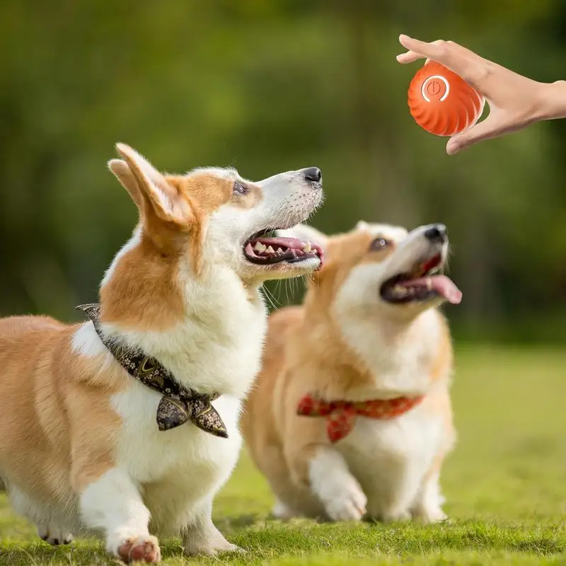 

Smart Cat Rolling Ball Toys Rechargeable Cat Toys Interactive playing For Cats Training Self-moving Kitten Toys Pet Accessories