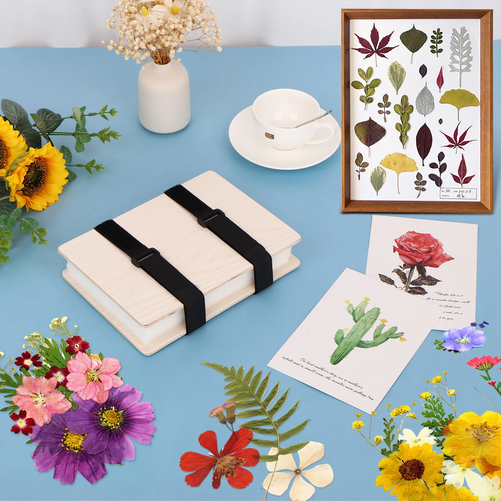 Kit Pressa Fiori WANDIC - Per Essicazione Piante, Legno, Carta Assorbente, Ideale Per Artigianato - Foto 8