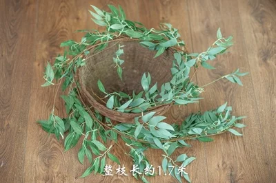 Newborn Photography Prop Basket Stuffer Simulated Green Plants Accessorie Christmas Daisy Rattan Strip Vine Studio Shooting Flow cheap newborn photography near me Baby Souvenirs