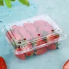 100pcs Fruit Box with Lid Disposable Plastic Transparent 1kg Packaging Boxes Strawberry Grape Fruit Vegetable 500g Wrapping Box 1
