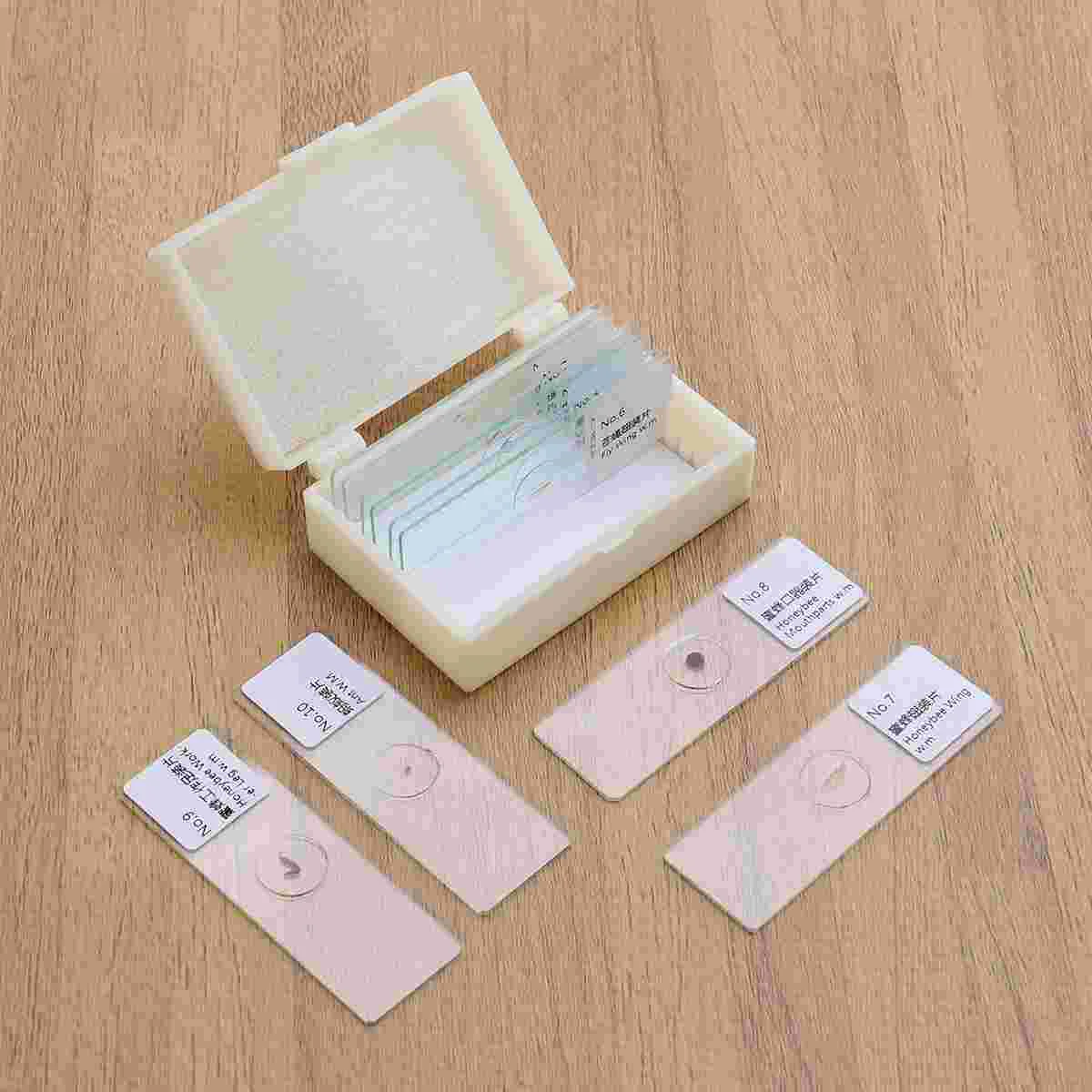 

10 PCS/Set Biology Sample Specimens Microscope Prepared Specimens Slides of Insects Plants Animals Glass Shows Samples