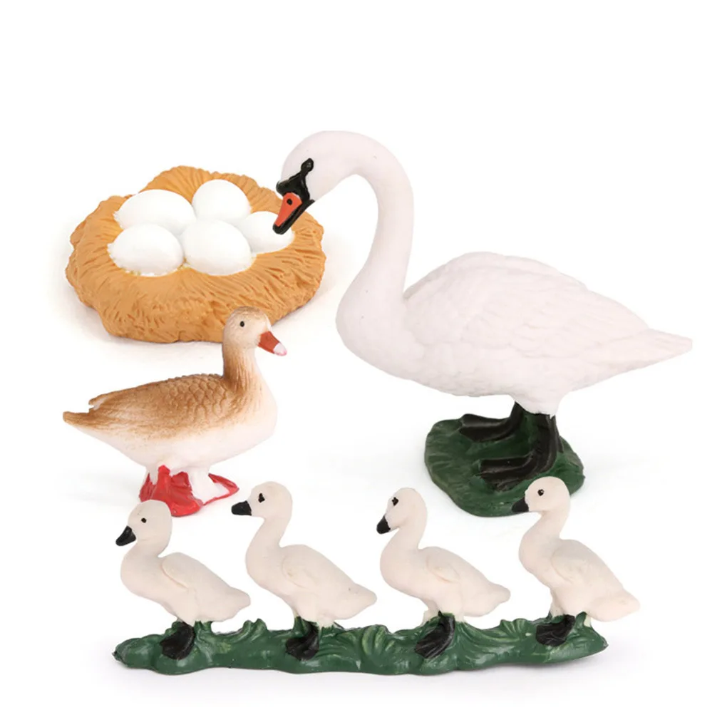 1 Set Swan Life Cycle Models Animals Playthings Kit for Home School 4