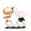 1 Set Swan Life Cycle Models Animals Playthings Kit for Home School 4