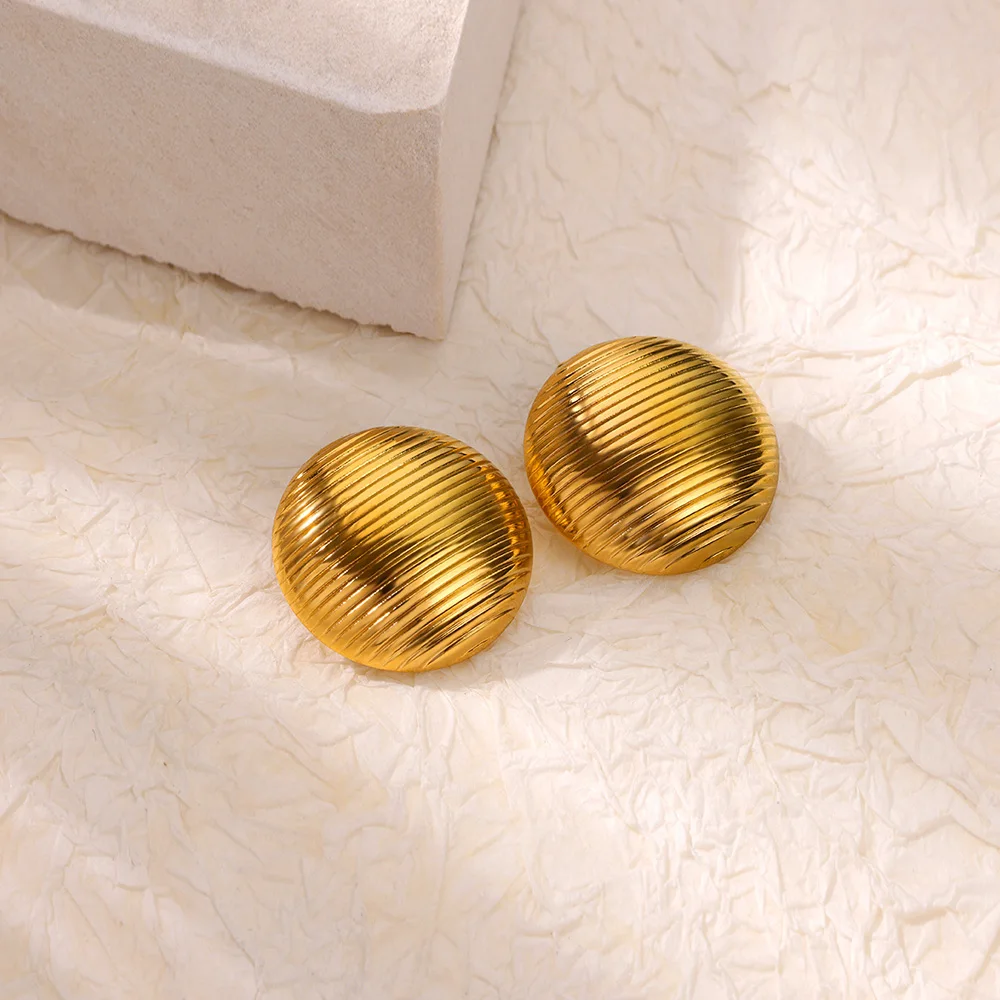Stripe Stainless Steel Earrings for Women