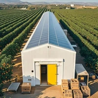 Conteneur réfrigéré solaire à économie d'énergie, contrôle précis de la température, congélateur commercial personnalisé 1