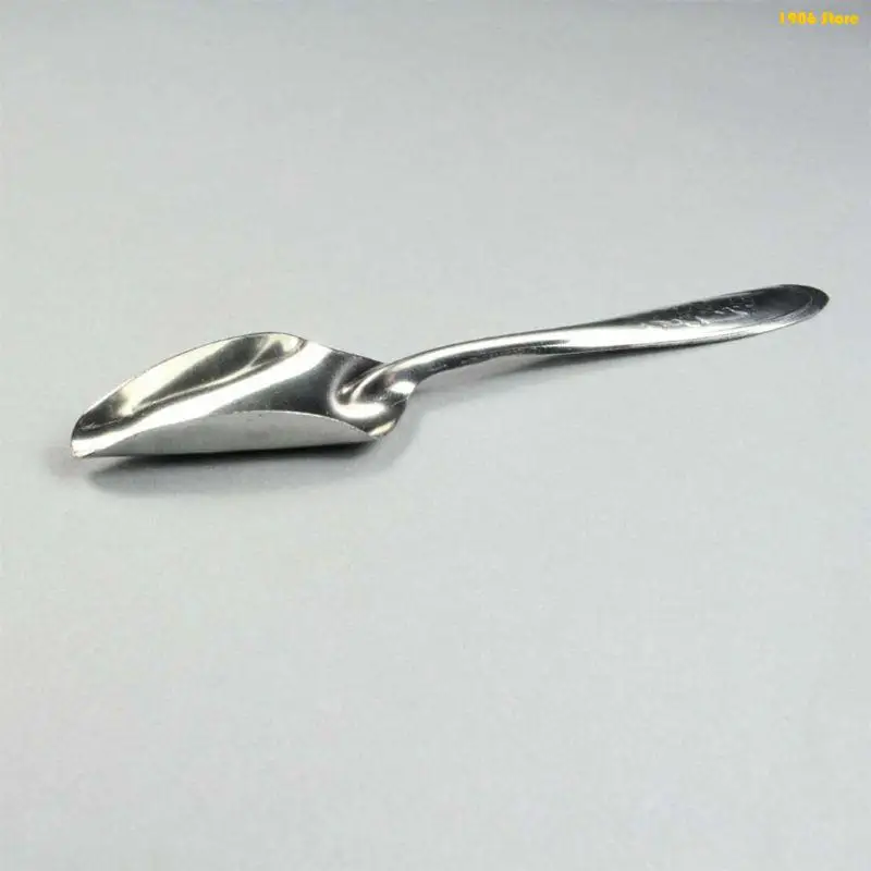 U1JB 5 pezzi Cucchiai per mangime per uccelli Paletta per mangime in acciaio inossidabile Bevitore in metallo per uccellini - immagine 2