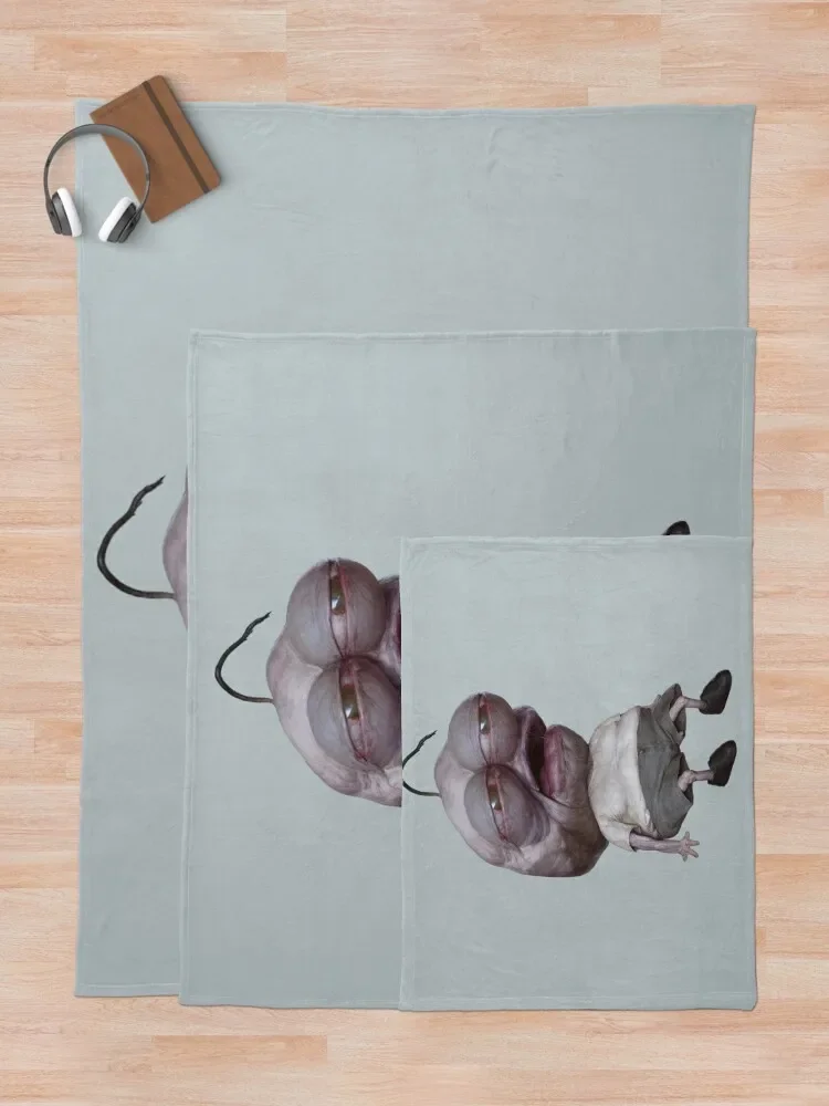 ���� ģ��, ����� ��, ���� ���� ������ ���, ���� ķ�� �Ϳ��� ���