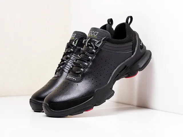ecco biom