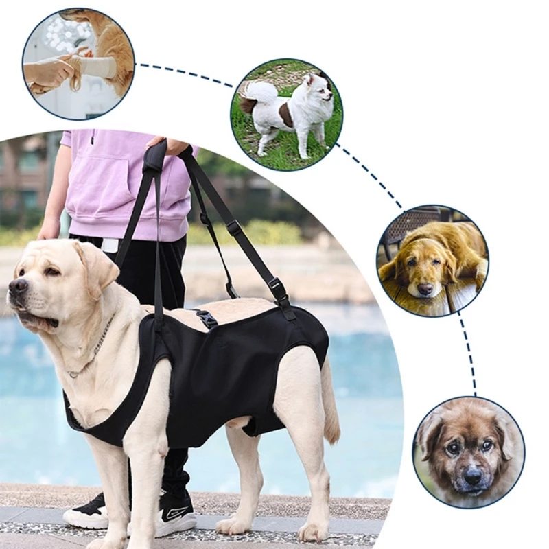 Dog Body Support Dog Lift Harness for Injured Elderly Dogs Disabled Pet Supplies 5