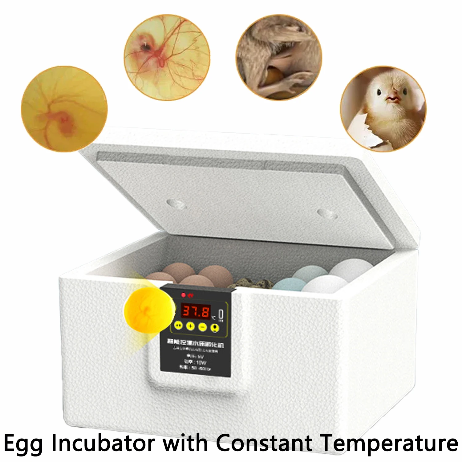 USB Egg Incubator Precise Thermostatic Control Auto-Turn Bionic Waterbed 3-in-1 Compact Design Egg Incubator
