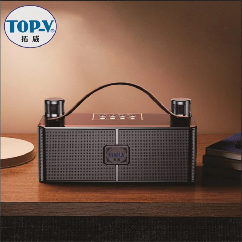 Portable karaoke Bluetooth audio with two microphones