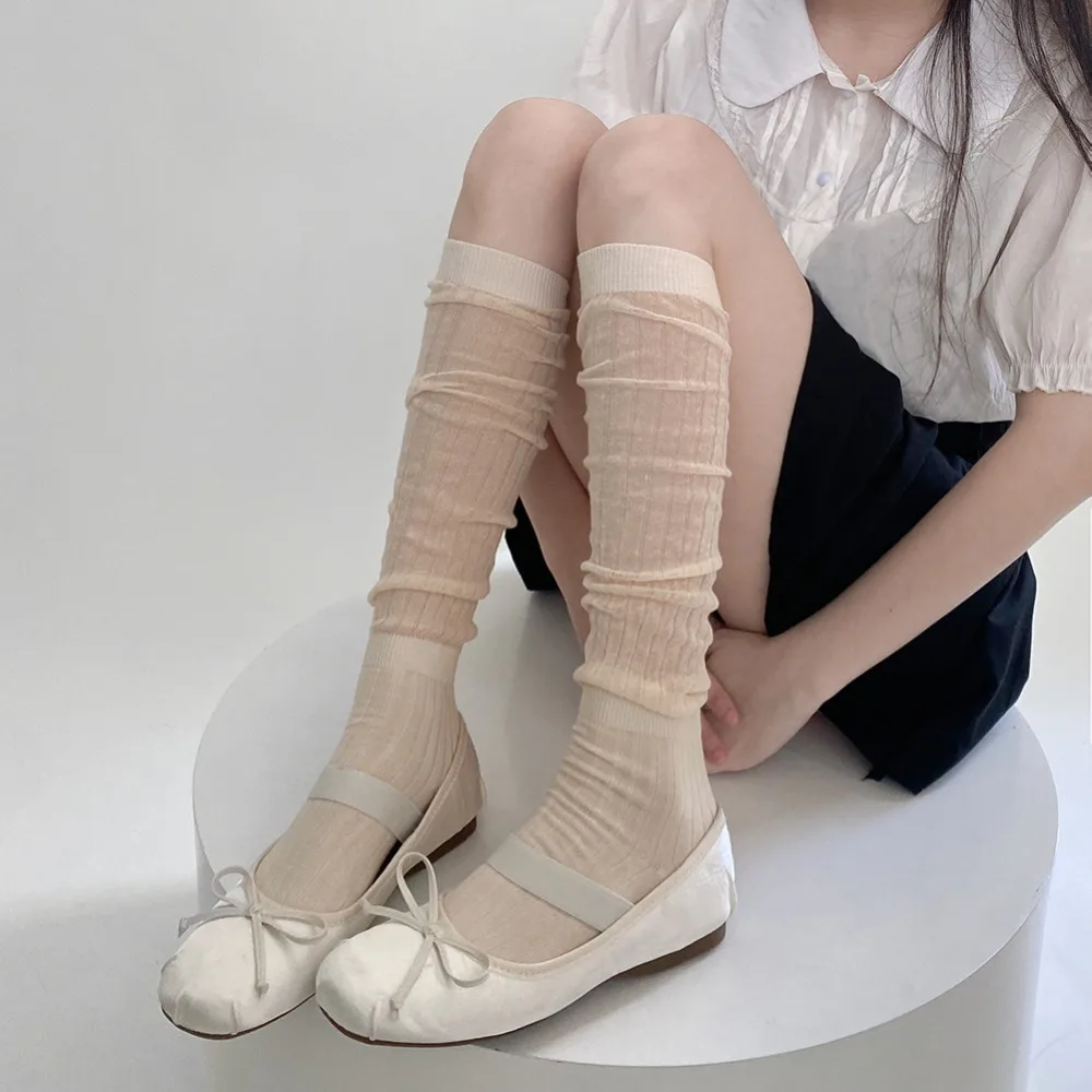   ⼺   縻 Ÿŷ,  縻 Ÿŷ,    縻, JK Ϻ Ÿ,  ǹ