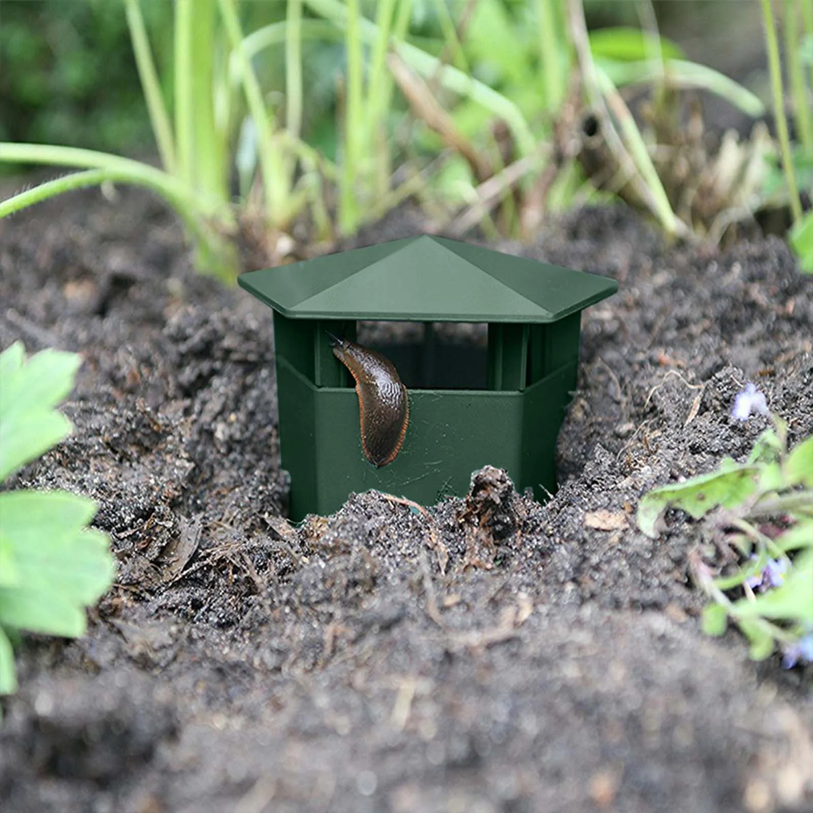 2/4/6/8/12pcs Snail Catcher Gintrap Slug Cage Eco-friendly Slug House ...