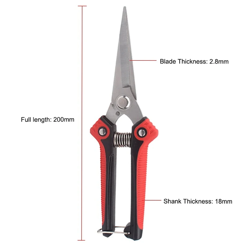 Stainless Steel Pruning Shears 6