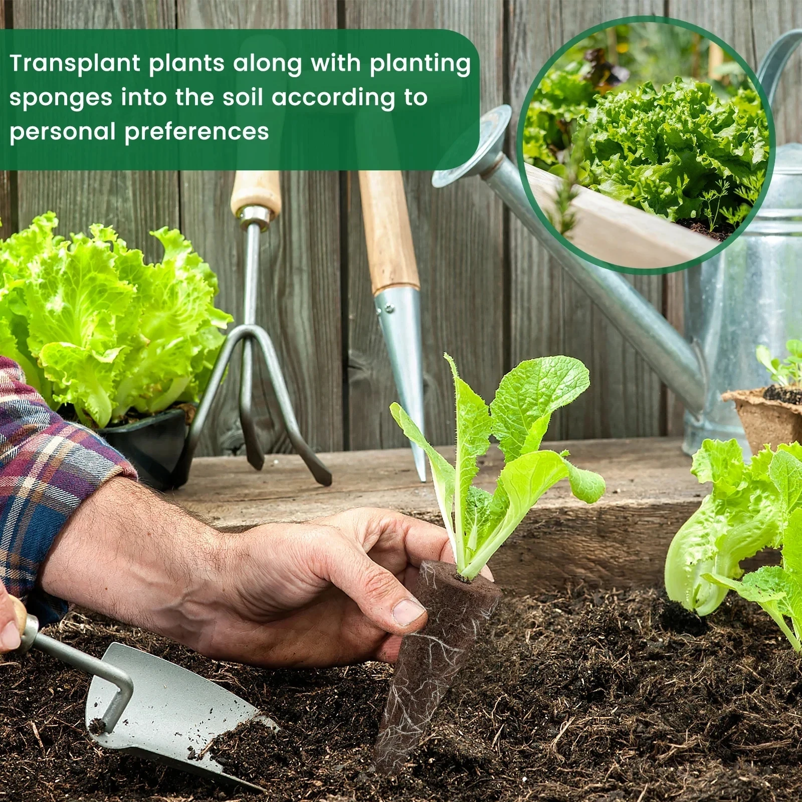 Seed Grow Sponges Replacement Root Hydroponics Indoor Garden System Sponges Water Absorbent Grow Pod Kit 50/100Pcs hydroponic grow media cubes hydroponics growing kit hydroponic garden kit sprout growing kit seed starter plugs soilless planting substrate
