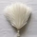 Color 4