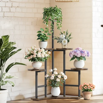Corner Plant Display Rack