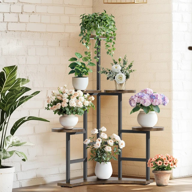 Corner Plant Display Rack
