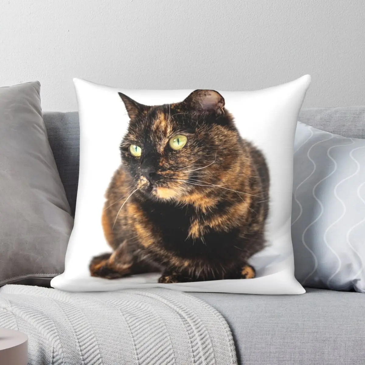 

Tortoiseshell Cat Pillowcase Polyester Linen Velvet Creative Zip Decor Throw Pillow Case Room Cushion Cover