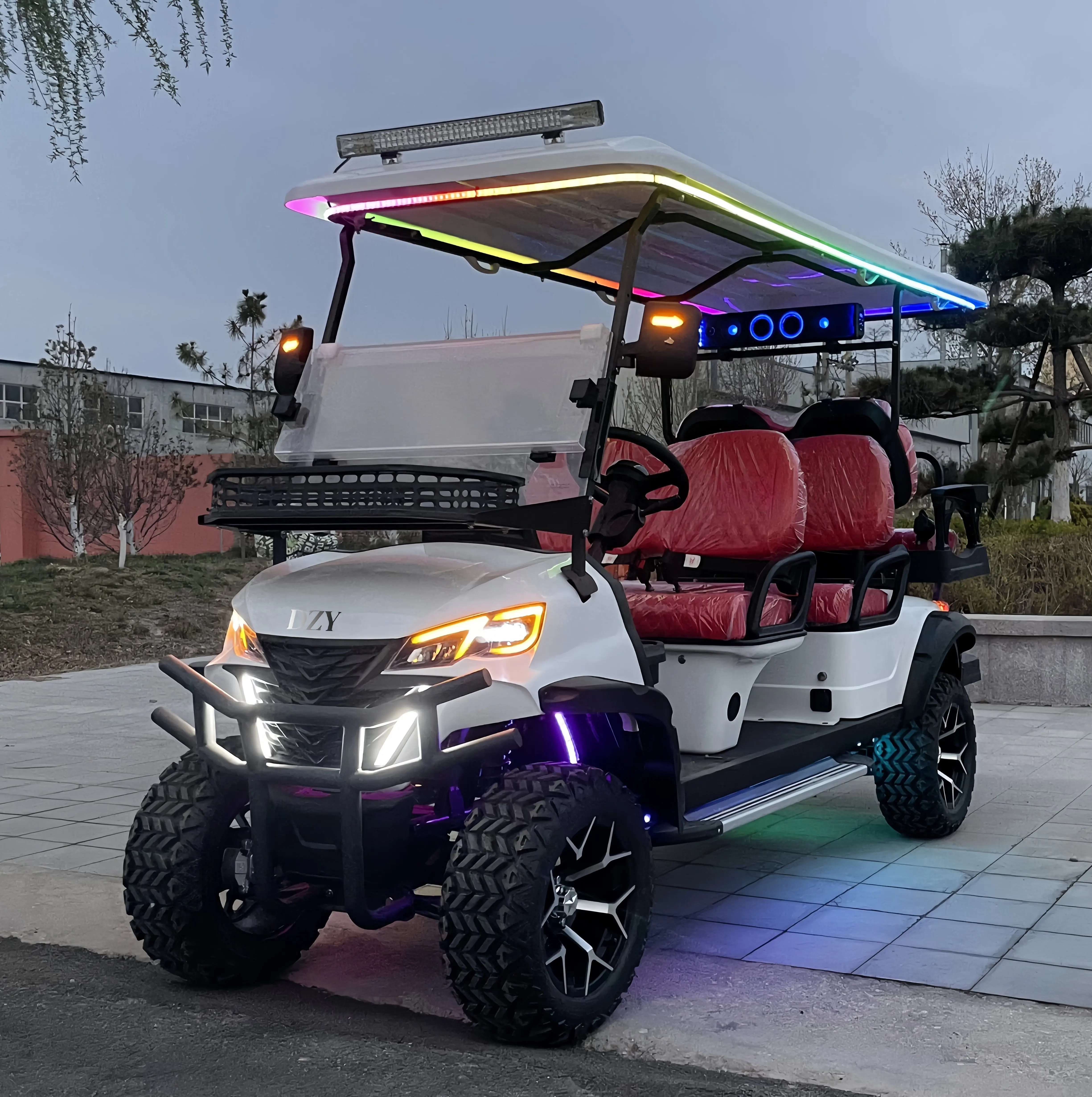 2025年新型カスタマイズ電動ゴルフカート、密閉式収納ボックス付き