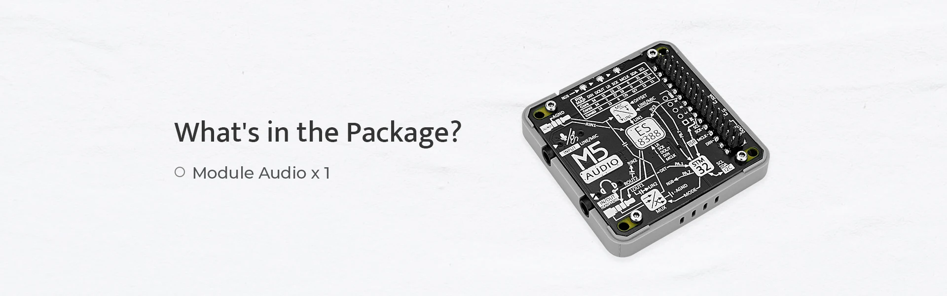 Official Audio Module (ES8388)