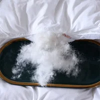 100% pure cotton goose down comforter, five-star hotel down comforter, winter thick comforter, spring and autumn comforter 3