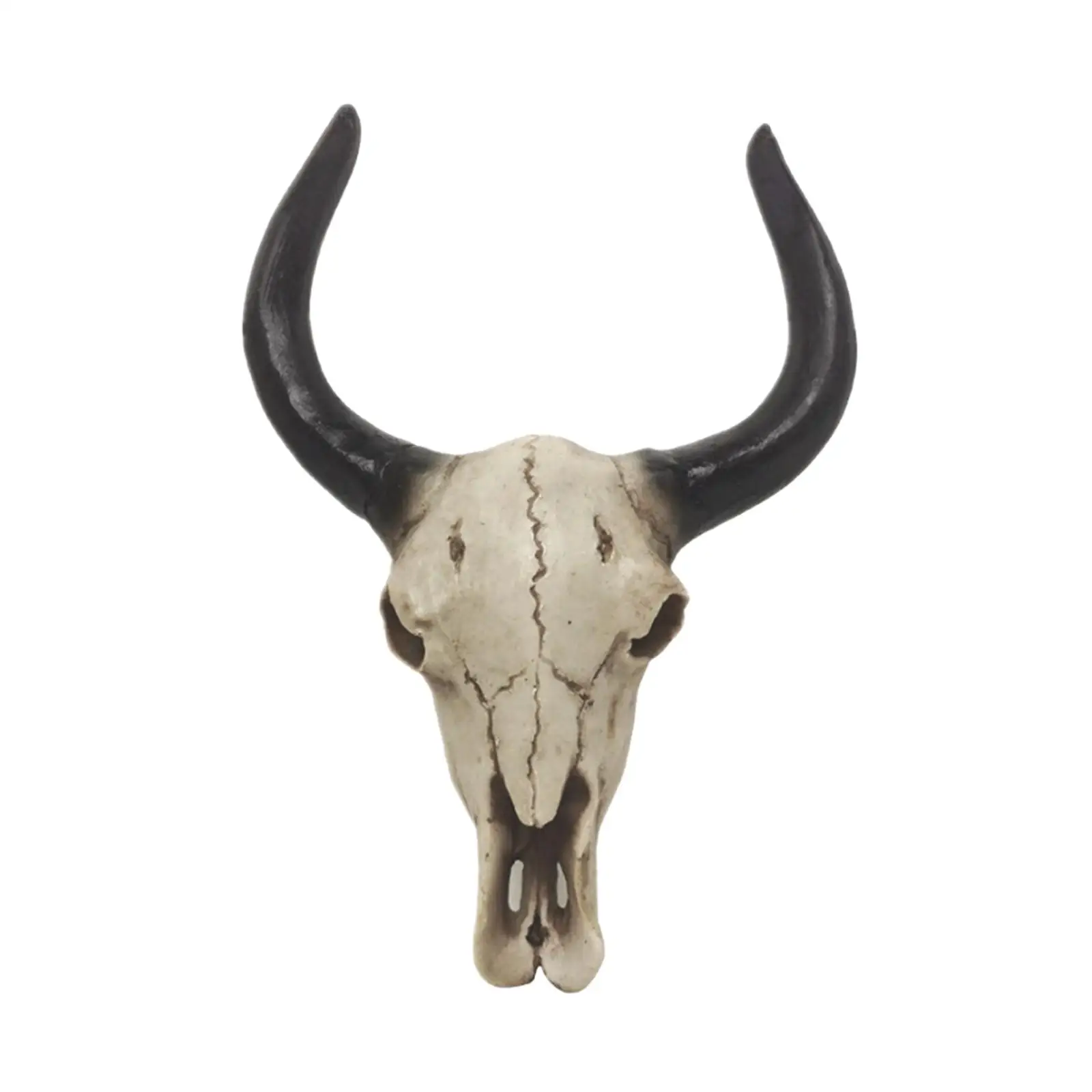 

Bull Head Wall Sculpture Hand Painted Props Crafts Wall Decoration Chic Bull Head Skull Wall Hanging Art for Housewarming Gift