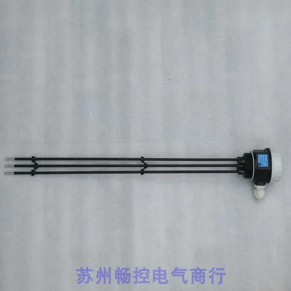 

The New Endershaus E+H Conductive Level Switch FTW31-B1A3AA0A Stock L=620mm