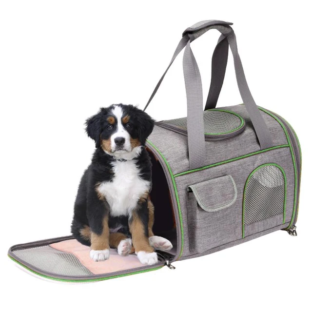 Pet Travel Carrier Soft Sided Portable Bag -L