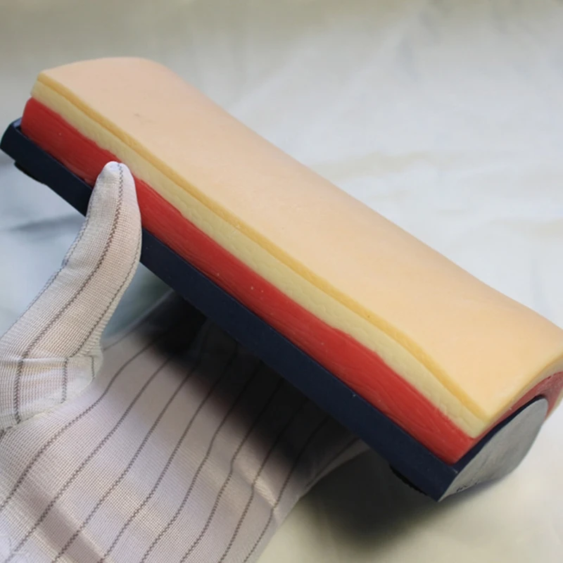 Multifunctional IV Injection Training Pad Suture Practice Pad for Students Interns Realistic Silicone Education Use