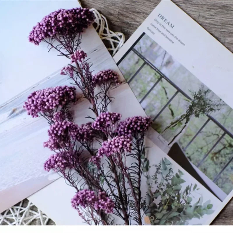 

50g Natural Millet Fruit Dried Flower Artificial Flowers Bridal Wedding Bouquet Artificial Flowers For Wedding Decoration Chris